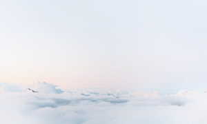 Fusce mattis euismod sed diam eget risus amet tempus commodo