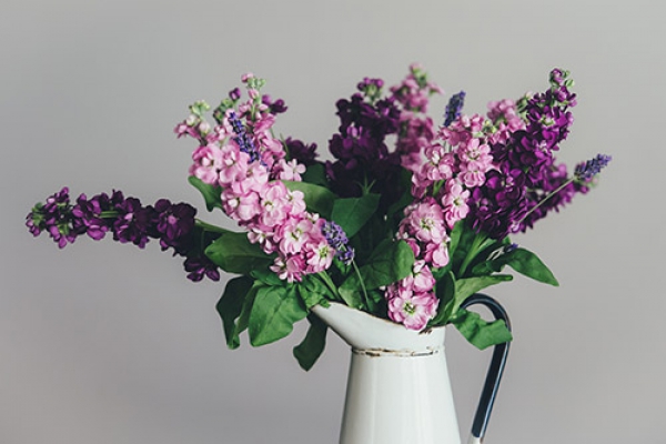 Fusce mattis euismod sed diam eget risus amet tempus commodo