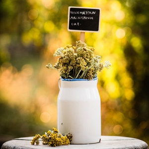 Ultricies fusce porta elit pharetra augue faucibus